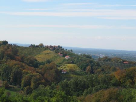 Člani TND Razkrižje obdelujejo vinograd v Šprincu 17